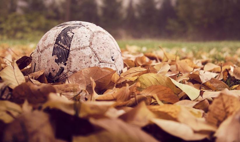 soccer-ball-nature-autumn-season