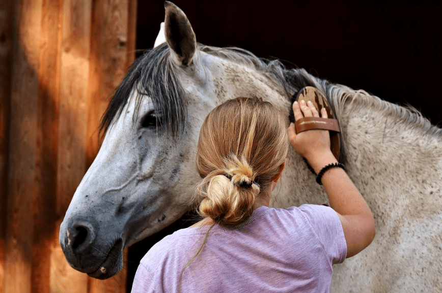Horse-Grooming