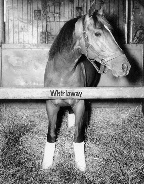 Whirlaway-on-a-stable