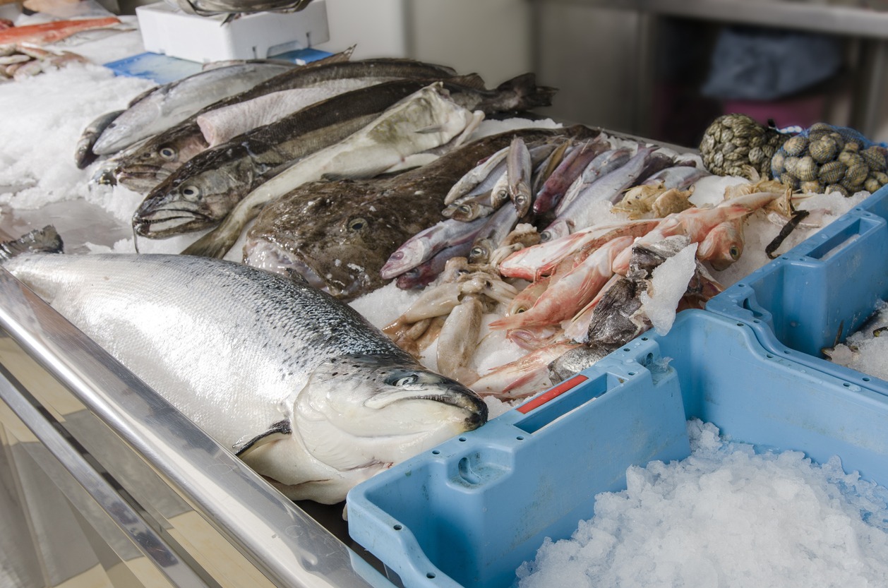 The Seafood Equation Cracking the Code of Quality and Cost at the Seafood Market Wholesale